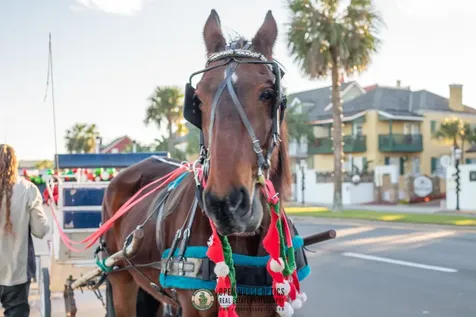 160 Seaside Vista Court St Augustine FL 32084