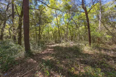 105 Orange Street Interlachen FL 32148