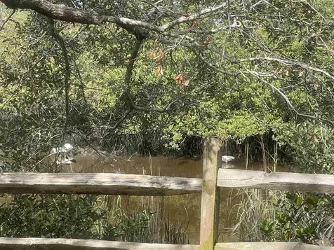 288 San Nicolas Way St Augustine FL 32080