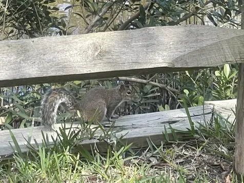 288 San Nicolas Way St Augustine FL 32080