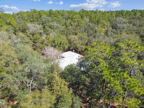 117 Gator Trail Melrose FL 32666