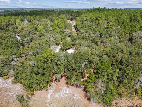 117 Gator Trail Melrose FL 32666