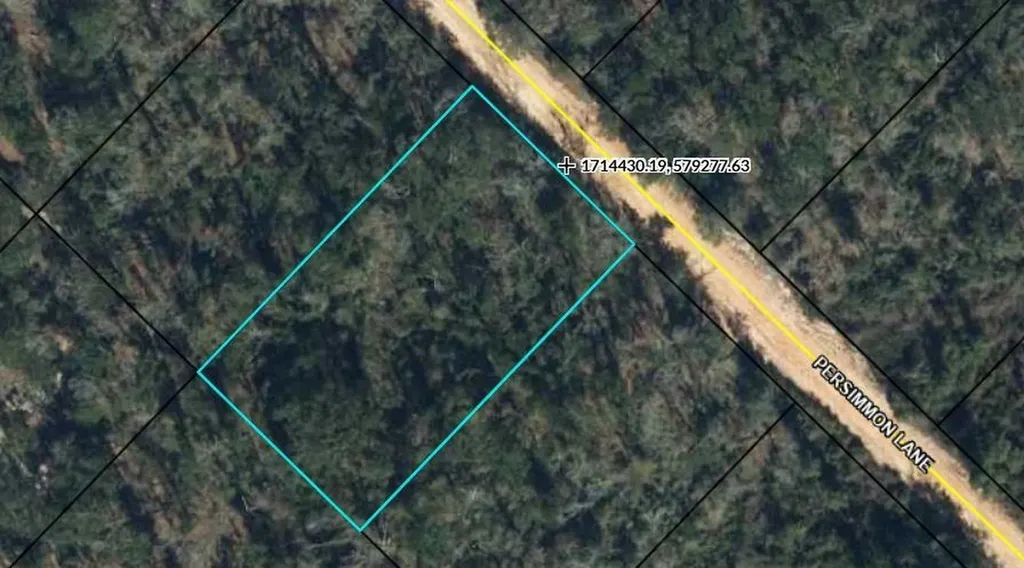 Tbd Persimmon Lane Marianna FL 32446