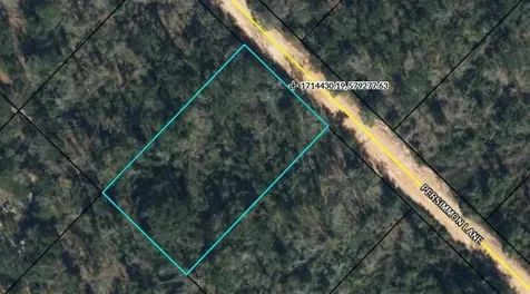 Tbd Persimmon Lane Marianna FL 32446