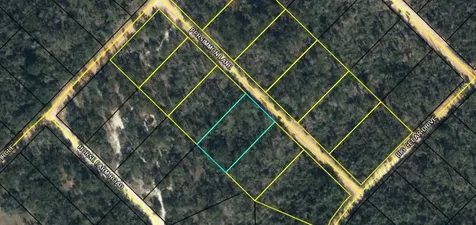 Tbd Persimmon Lane Marianna FL 32446
