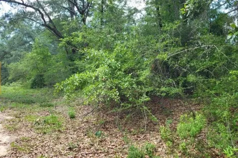Tbd Persimmon Lane Marianna FL 32446