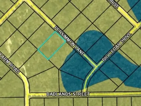 Tbd Persimmon Lane Marianna FL 32446