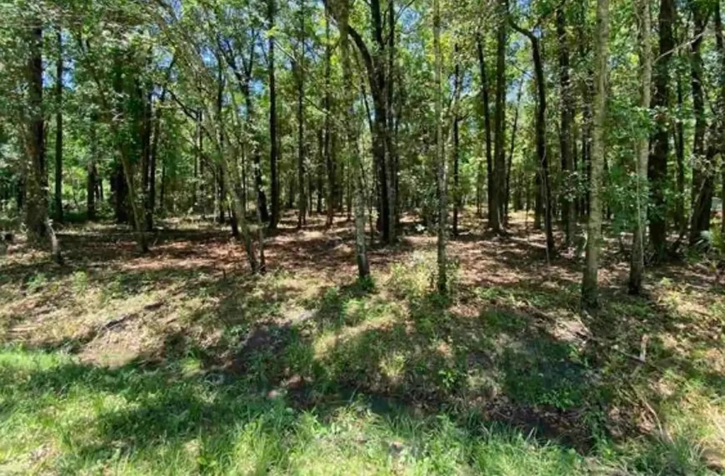 4810 Noel Street Hastings FL 32145