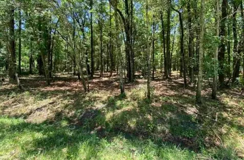 4810 Noel Street Hastings FL 32145