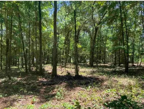 4810 Noel Street Hastings FL 32145