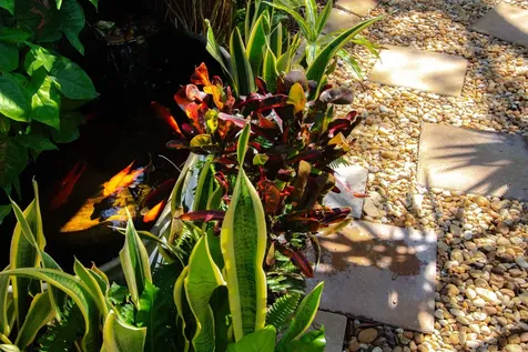 537 W Tropic Way St Augustine FL 32080