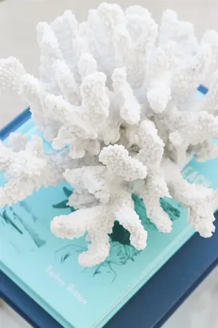 9 Bermuda Run Way St Augustine FL 32080