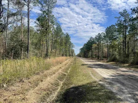 10730 Yeager Hastings FL 32145