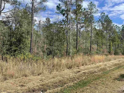 10730 Yeager Hastings FL 32145
