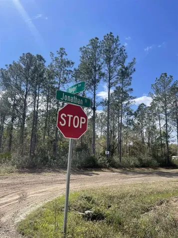 10730 Yeager Hastings FL 32145