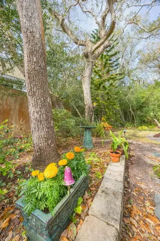 485 Ocean Forest Drive St Augustine FL 32080