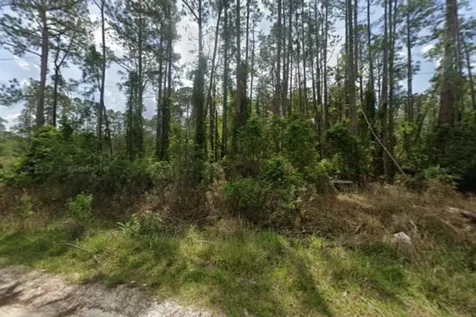 105 Pine Cone Drive Georgetown FL 32139