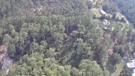 105 Pine Cone Drive Georgetown FL 32139