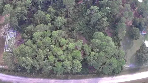 105 Pine Cone Drive Georgetown FL 32139