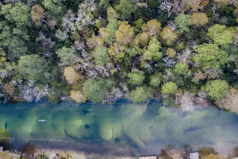 6194 Bear Trail Weeki Wachee FL 34607