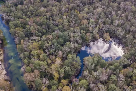 6194 Bear Trail WEEKI WACHEE FL 34607