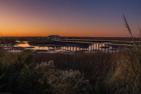 346 Fiddlers Court St Augustine FL 32080