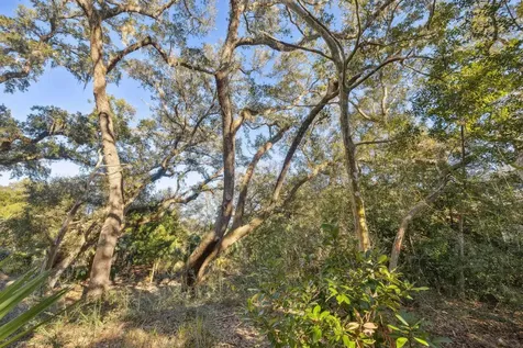 425 Ocean Forest Drive St Augustine FL 32080