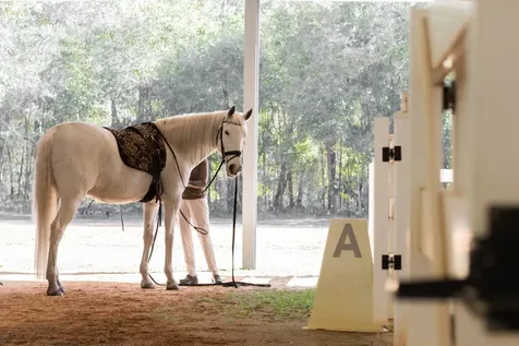 220 Dark Horse Lane St Augustine FL 32145