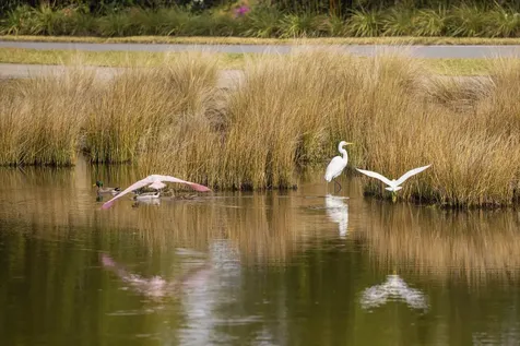 526 Lakeway Drive St Augustine FL 32080