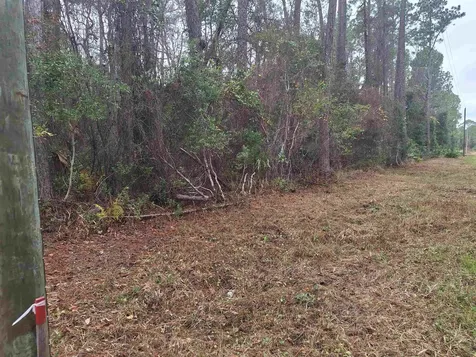 159 Lakeway Drive Georgetown FL 32139