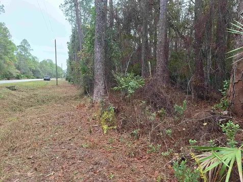 159 Lakeway Drive Georgetown FL 32139