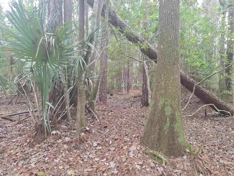 159 Lakeway Drive Georgetown FL 32139