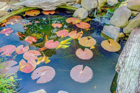 2205 Gillis Street Palatka FL 32177