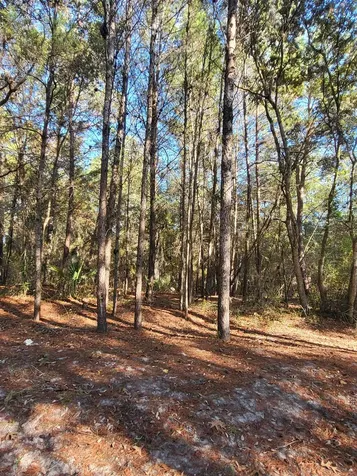 00 Beulah Church Road Crescent City FL 32112