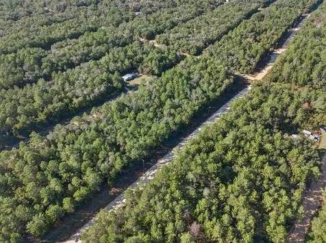Usina Avenue Interlachen FL 32148
