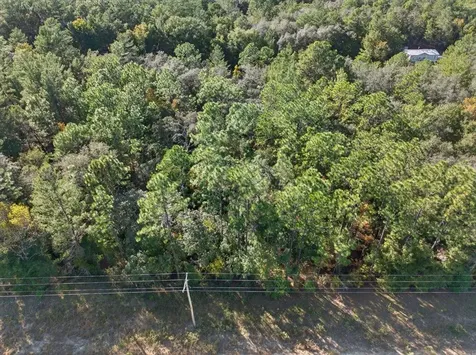 Usina Avenue Interlachen FL 32148