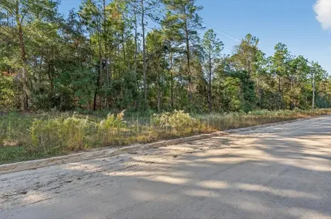 Usina Avenue Interlachen FL 32148