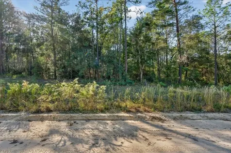 Usina Avenue Interlachen FL 32148