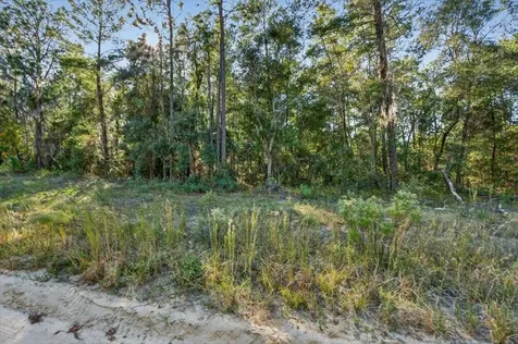 Usina Avenue Interlachen FL 32148
