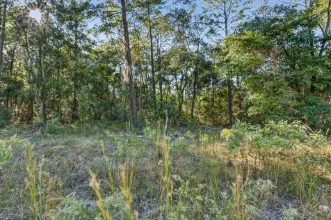 Usina Avenue Interlachen FL 32148