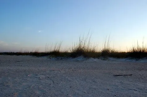 129 Lobelia Road St Augustine FL 32086