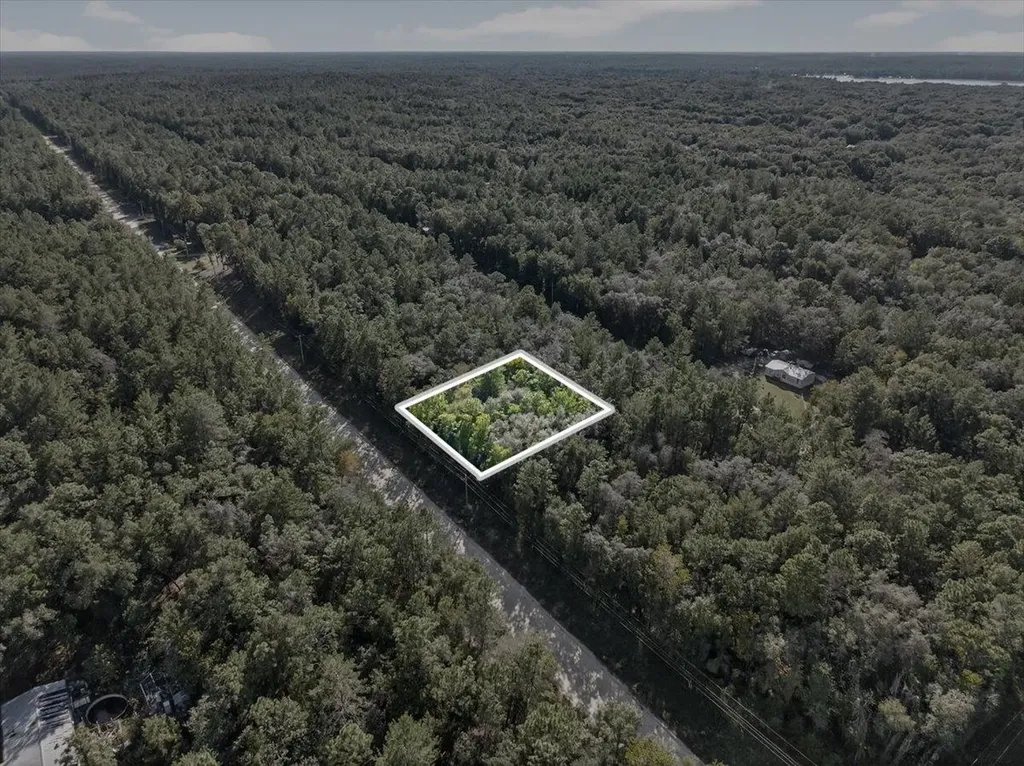 0 Usina Avenue Interlachen FL 32148