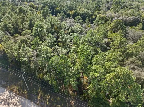 0 Usina Avenue Interlachen FL 32148