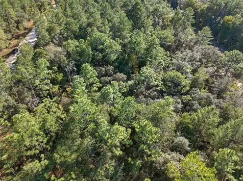 0 Usina Avenue Interlachen FL 32148