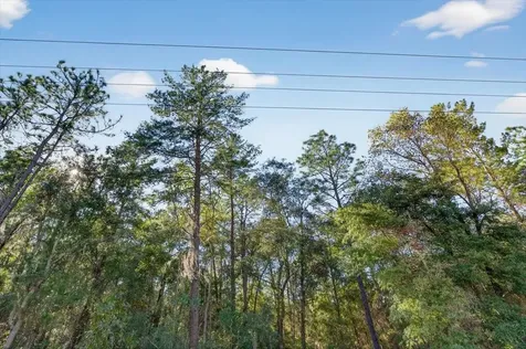 0 Usina Avenue Interlachen FL 32148