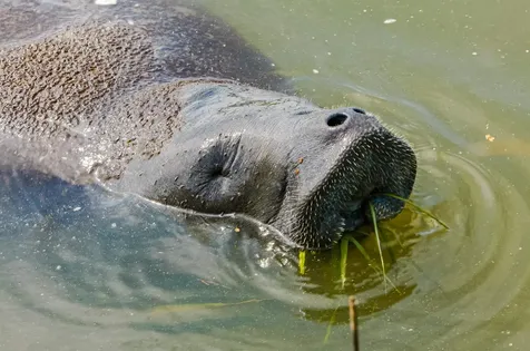 132 Terrapin Road St Augustine FL 32086