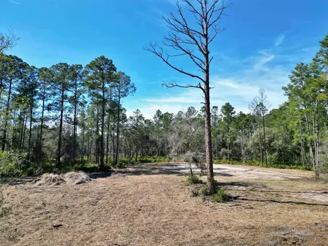 10455 Yeager Avenue ( 3 Lots ) Hastings FL 32145