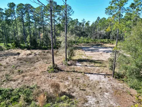 10455 Yeager Avenue ( 3 Lots ) Hastings FL 32145