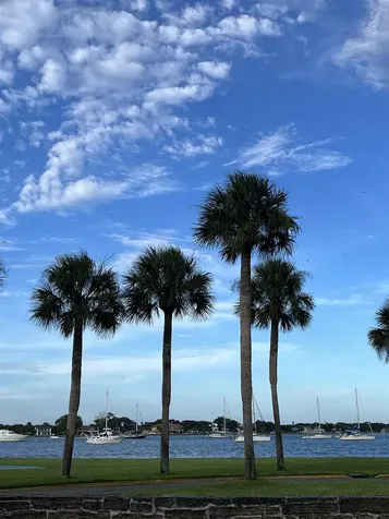 1010 San Remo Road St Augustine FL 32086