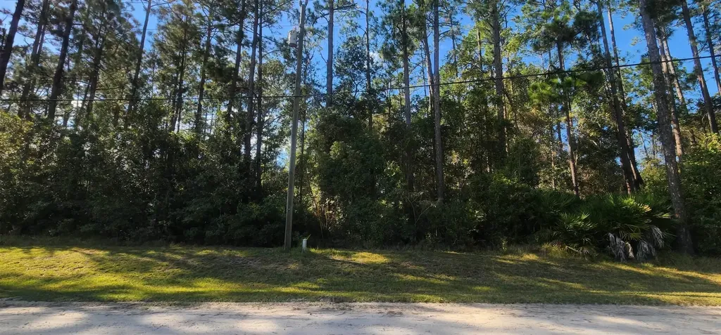 Tbd Bowfin Drive Palatka FL 32177